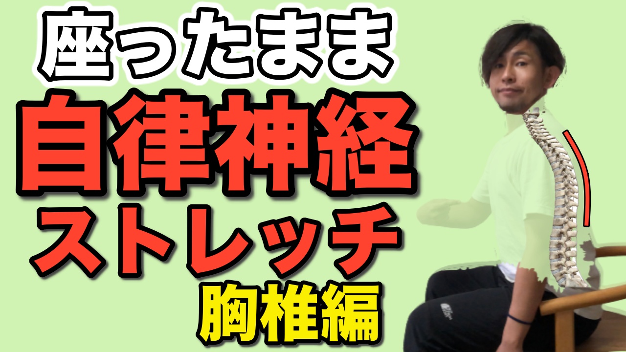 自律神経 改善 乱れ予防の胸椎ストレッチ デスクワークなど隙間時間向け 奈良の 自律神経のお悩み 専門 無痛整体 啓